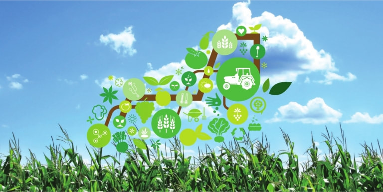 Agricultural Innovations